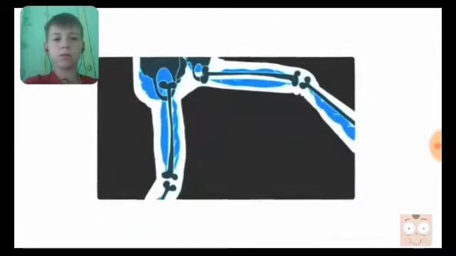 РЕАКЦИЯ:ЗНАКОМЬТЕСЬ БОБ - 1,2,3 СЕРИИ 1 СЕЗОНА смотреть онлайн