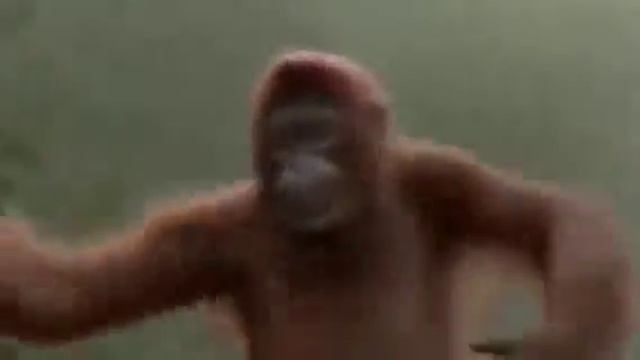 Очень прикольная обезьяна смотреть онлайн