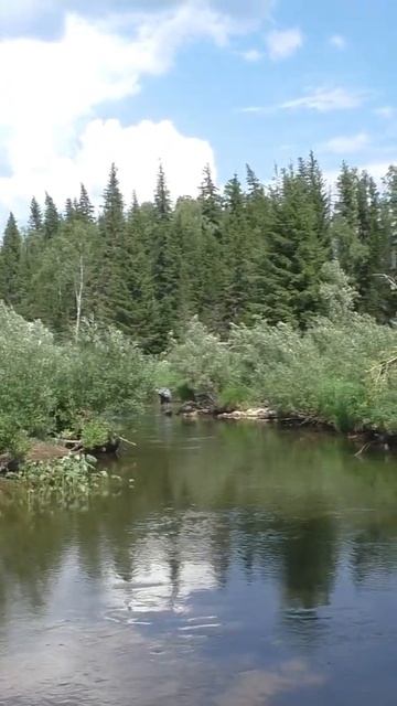 1523 Красивая Река Тайга иииразум  рыбалка тайга fishing 