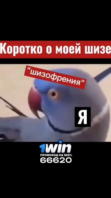 Я и шиза😆🤪 #юмор #приколы #шиза #говорит #собой