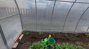 Первый урожай. Мама может!