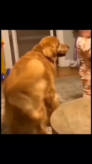 Движение это жизнь #Shorts смотреть онлайн