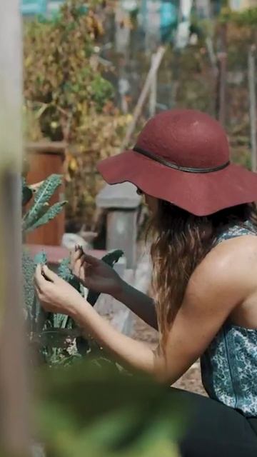 Люди не могут платить по кредитам смотреть онлайн