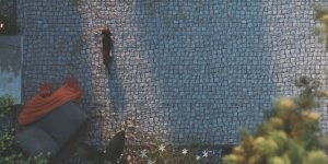 Художественный Экстерьер с собакой