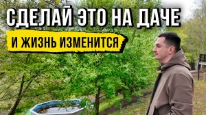 Этот легкий метод ландшафтного дизайна повысит качество жизни на любом загородном участке