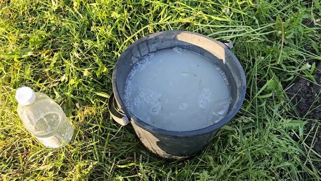 🔥 ВОЛШЕБНЫЙ ПОЛИВ ДЛЯ ВЗРЫВНОГО РОСТА! Льёте ЭТО – и растения оживают на глазах! смотреть онлайн