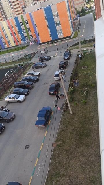 Растение.Люди что то сажают и поливают возле дома.Цвет смотреть онлайн