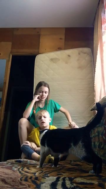 Кот тянет#мило #растяжка #подпишись #смех #юмор #брат #котвналичие#cat #классно 😂😂😂 смотреть онлайн