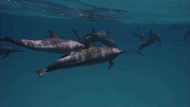 Классная Музыка, Легкий Расслабляющий ХИП ХОП!