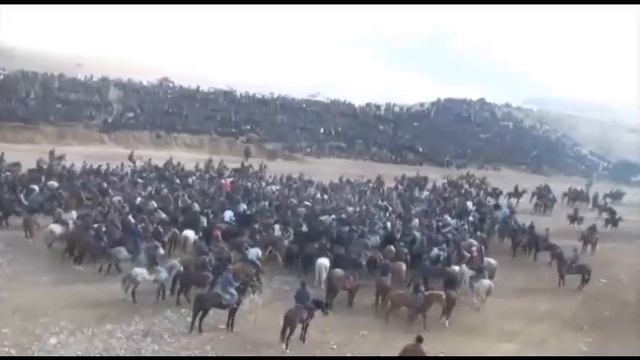 24.02.2019 СОЙГУС УЛОК