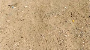 Поиск монет без металлоискателя 119