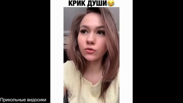 Подборка прикольных видео Прикольные видосики#50 смотреть онлайн