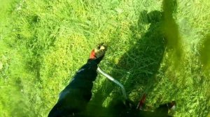 ZimAni FS450K- "чудесный" триммер-кусторез и его причуды. Про?