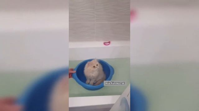 ✅Первые 40 лет самые сложные в жизни мальчика 😂 смотреть онлайн