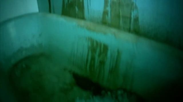 Niki Low,Большой Брат