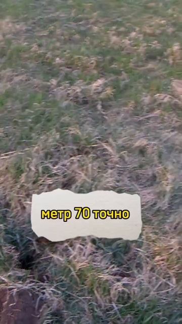 Копаем поле,находки радуют! #металлоискатель #металло? смотреть онлайн