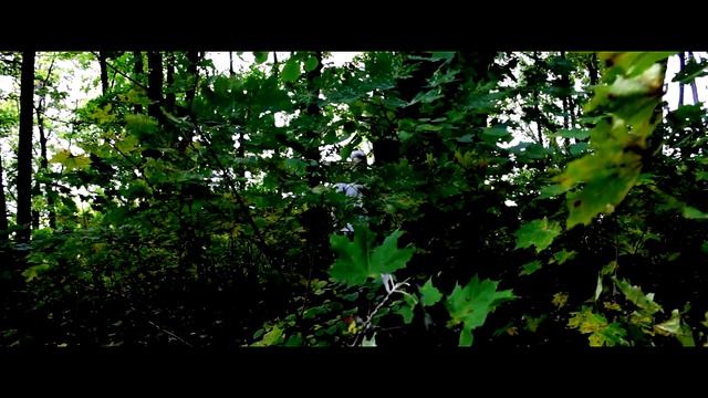 ЭЗОТЕРИЗМ (esotericism) короткометражка смотреть онлайн