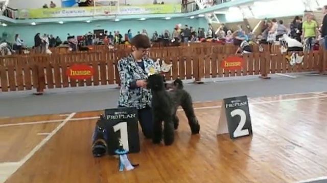 Mifril Ride The Lightning - КЧК (3) смотреть онлайн