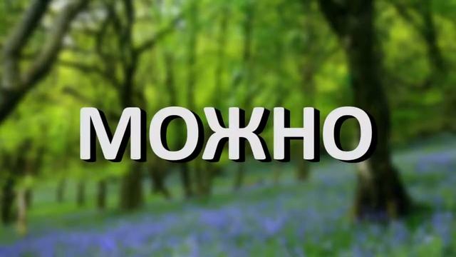 Мс-Пох весенний лес