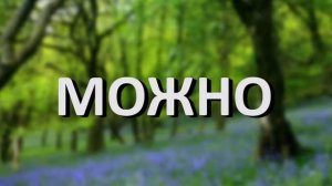 Мс-Пох весенний лес