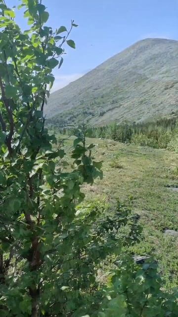 Кратко о 3-м и 4-м дне похода, Хребты Иремель и Аваляк