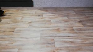 Такса таскает вещи себе в гнездо, супер прикол 2021,смеяться без смс и регистрации:D