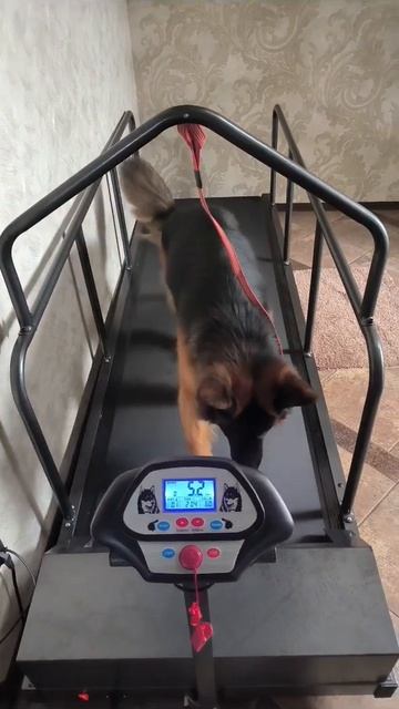 Уверенно идем к 100 подписчикам! Поможешь? Подпишись! #о? смотреть онлайн