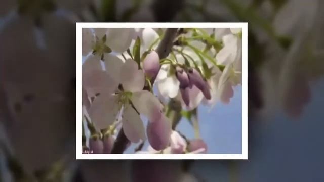 С Днем рождения сестренка hd720 смотреть онлайн