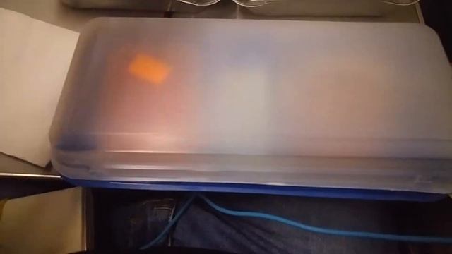 Авиакомпания I Fly(Ай Флай), питание на борту,чартер авиаперет Внуково-Анталья, туроператор Tez Tour смотреть онлайн