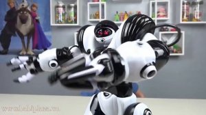 Робот Robosapien