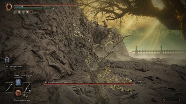 Будущий консорт Радан [204] Shadow Of The Erdtree