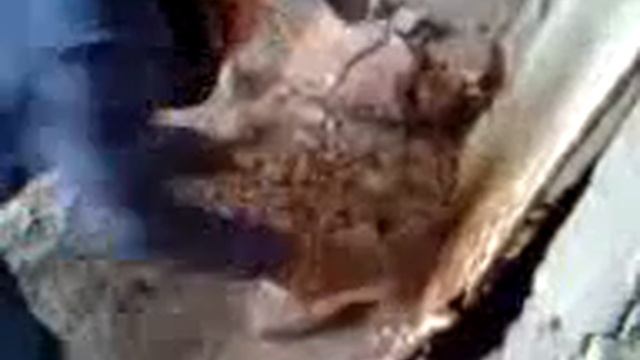 НаСпор С Одного Удара Сломал Кирпич 2007год) смотреть онлайн