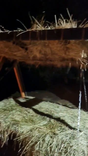 #отдых #баня #казань #баняудани смотреть онлайн