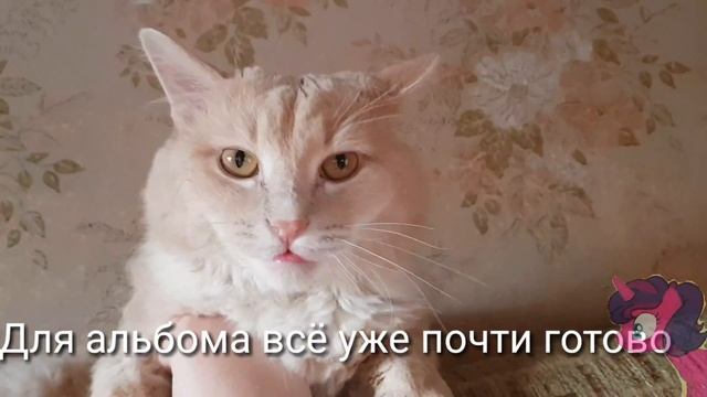 Дарик| Мой кот любит хип-хоп смотреть онлайн