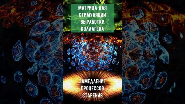 Матрицы Гаряева – это особые звуковые или световые частотные волны смотреть онлайн