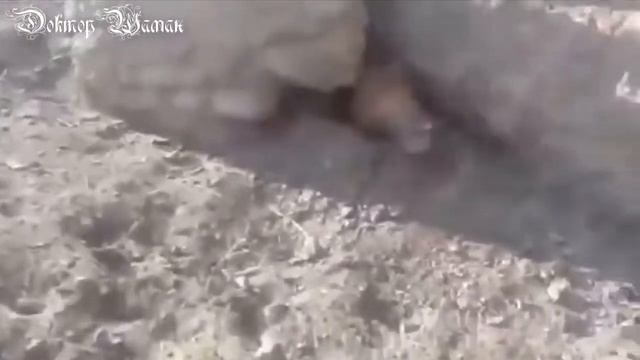 ПРИКОЛЫ СО ВСЕЙ ПЛАНЕТЫ САМЫЕ ЛУЧШИЕ ПРИКОЛЫ 2018 смотреть онлайн