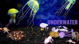 Уникальный подводный мир. Расслабление после тяжелого дня