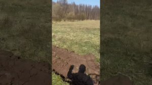 Первая вспашка целины мотоблоком МТЗ #хочувдеревню #вспашка #мотоблок