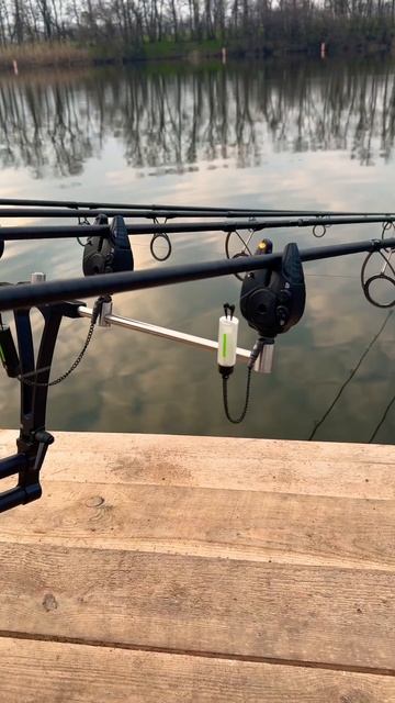 Поклевка карпа 30+ новый рекорд #рыбалка #carpfishing #карпфи?
