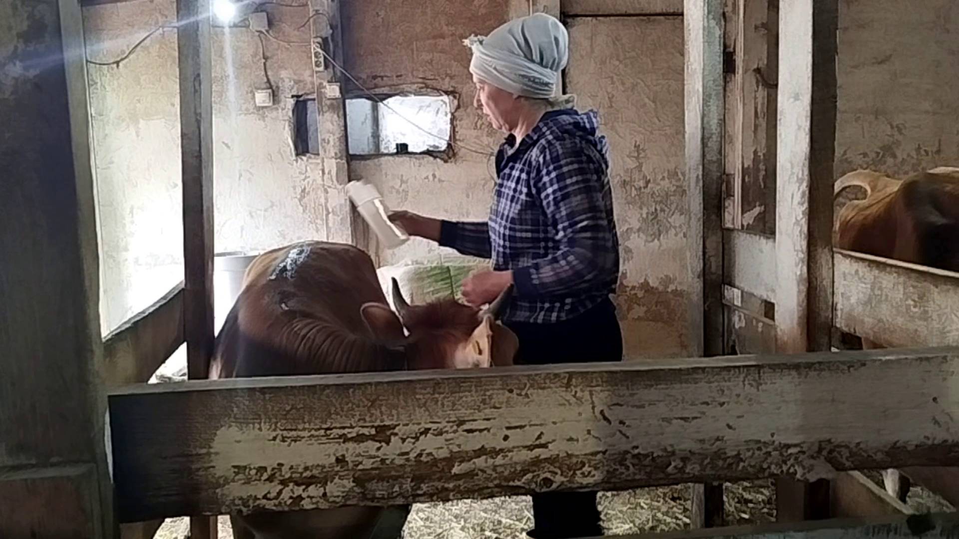 НАШИ ФЕРМЕРСКИЕ БУДНИ🌷🌼🪻 смотреть онлайн