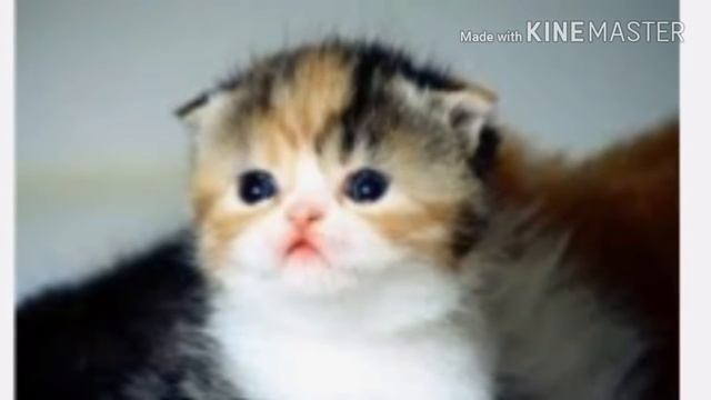 ПРИКОЛЬНАЯ МУЗЫКА НА ЮТУБ смотреть онлайн