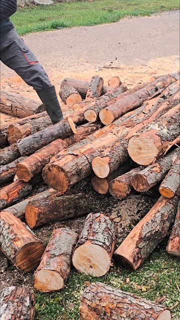 Бензопила 63.4 см3 4.5кВт Олео-мак GS650. Отличная пила #бенз смотреть онлайн