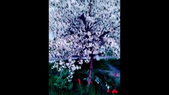 Красная горка, Антипасха, Фома неверующий. Картины художника Наталии Ныш. смотреть онлайн