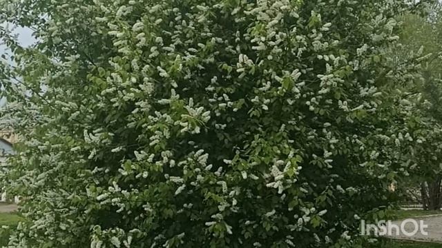 Классная песня со смыслом смотреть онлайн