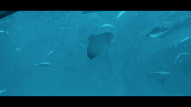 Международный многопрофильный туроператор Space Travel