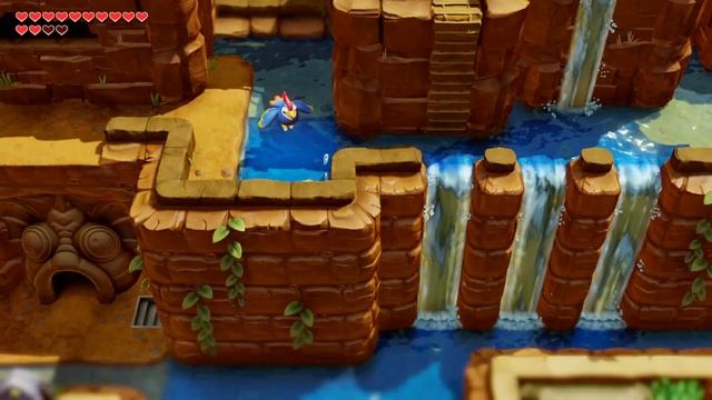 Редкая ракушка