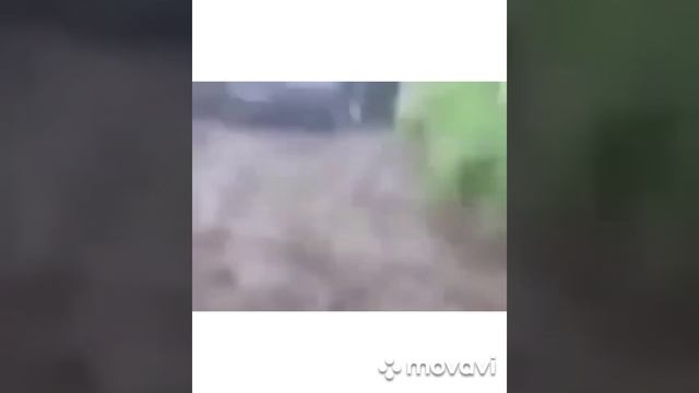 ЛУЧШИЕ ПРИКОЛЫ 2021/Я РЖАЛ ДО СЛЕЗ😂 неудачные падения в воду смотреть онлайн