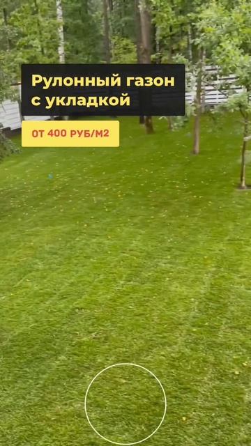 Рулонный газон - это роскошь, которую вы можете себе по смотреть онлайн