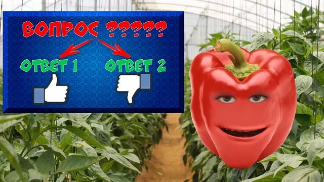 Узнай о канале RedQuiz смотреть онлайн