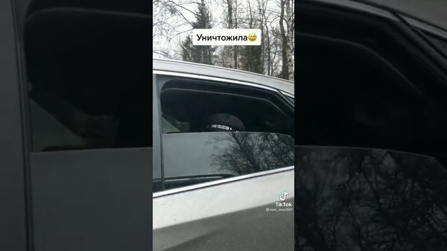 прикольные видео смотреть онлайн